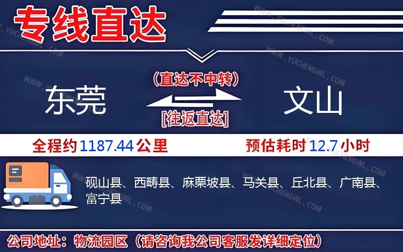 東莞到文山物流公司